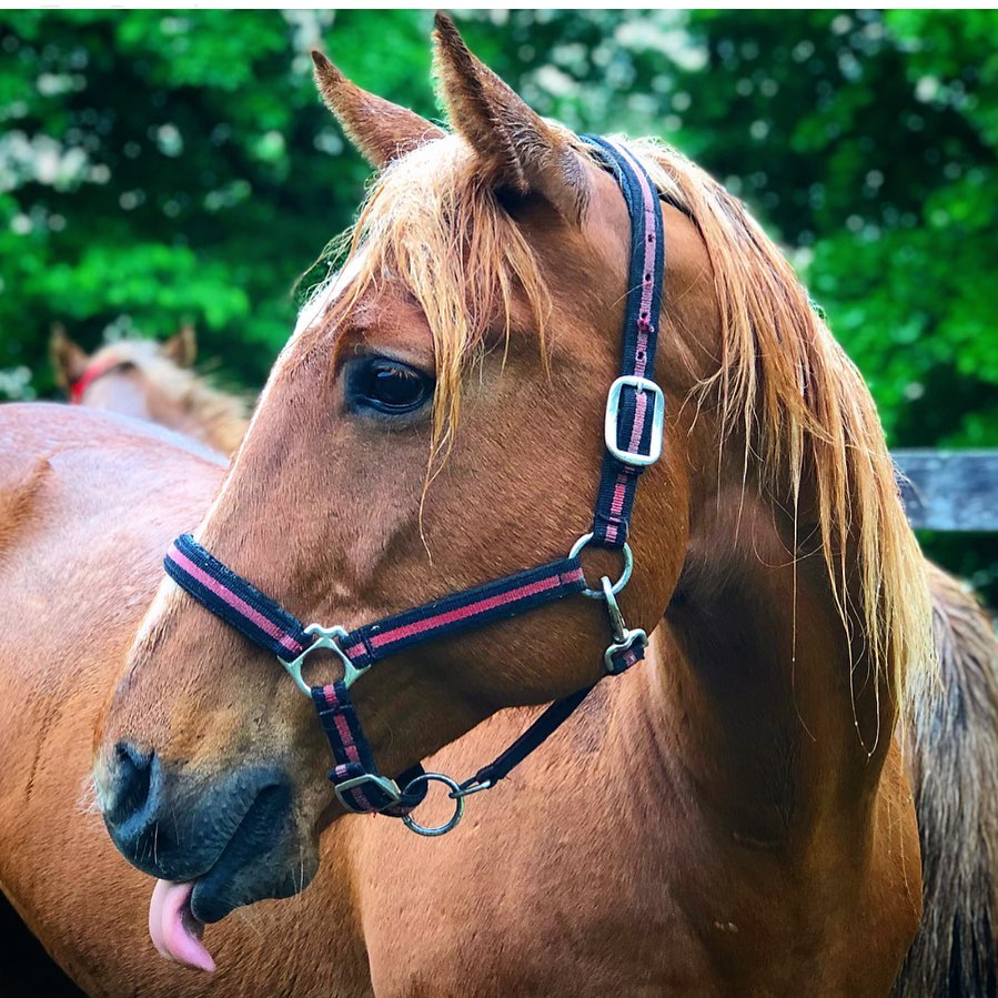 Facilities Camp Sancta Maria